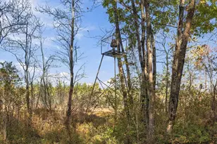 279 Franklin Hwy, Andover, NH 03216 - Photo 44