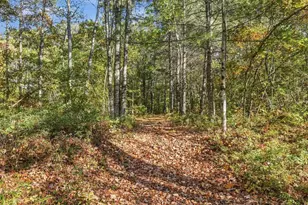 279 Franklin Hwy, Andover, NH 03216 - Photo 52