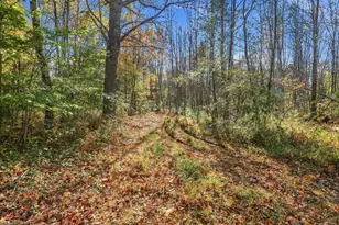 279 Franklin Hwy, Andover, NH 03216 - Photo 50