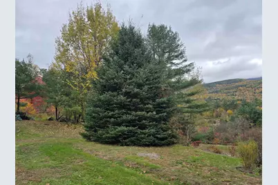 890 Mt. Moosilauke Highway, Wentworth, NH 03282 - Photo 16