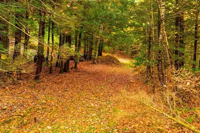 Map 131/132 Lot 51 &amp; Lot 7 Montauk Way, Gilmanton, NH 03237 - Photo 8