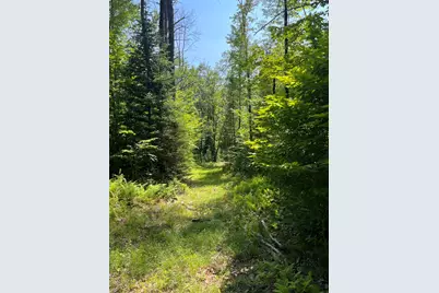 524 Lear Hill Road, Unity, NH 03773 - Photo 16