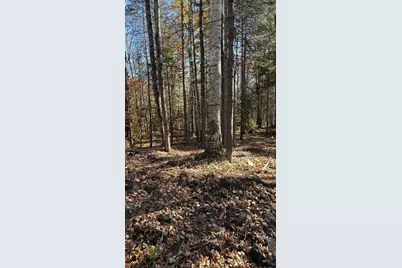 153 Moulton Hill Road, Lyman, NH 03585 - Photo 6