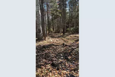 153 Moulton Hill Road, Lyman, NH 03585 - Photo 4