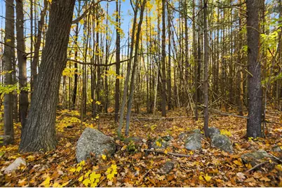 115 Watson Road, Gilford, NH 03249 - Photo 18