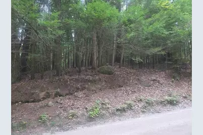 Map 09 Lot 30 Gould Pond Road, Hillsboro, NH 03244 - Photo 2