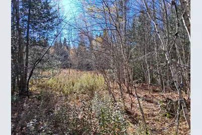 0 Bell Hill Road, Stark, NH 03582 - Photo 6