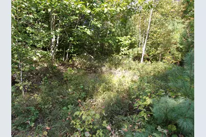 Fenn Way Circle #29, Bath, NH 03740 - Photo 4