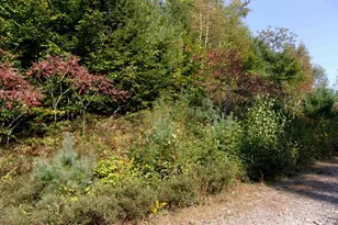 Fenn Way Circle, Bath, NH 03740 - Photo 1