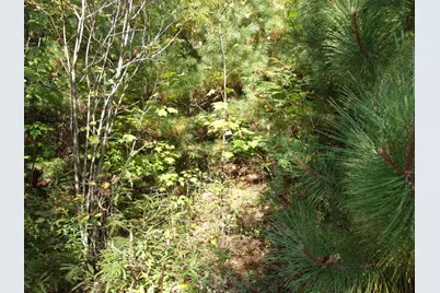 Fenn Way Circle #29, Bath, NH 03740 - Photo 10