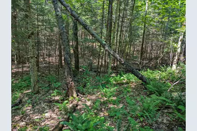 202-251 Swiftwater Circle, Haverhill, NH 03765 - Photo 12