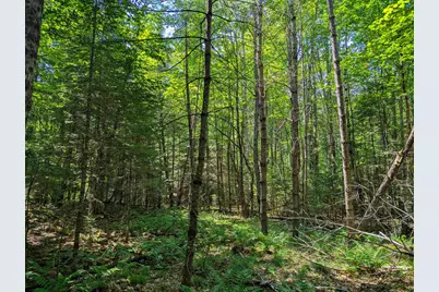 202-251 Swiftwater Circle, Haverhill, NH 03765 - Photo 16