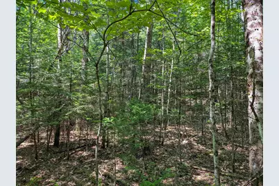 202-252 Swiftwater Circle, Haverhill, NH 03765 - Photo 18