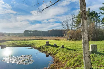 155 Goose Pond Road, Canaan, NH 03741 - Photo 46