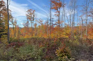 0 Colby Rd, Meredith, NH 03253 - Photo 1