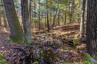 99 Indian Road, Weare, NH 03281 - Photo 22