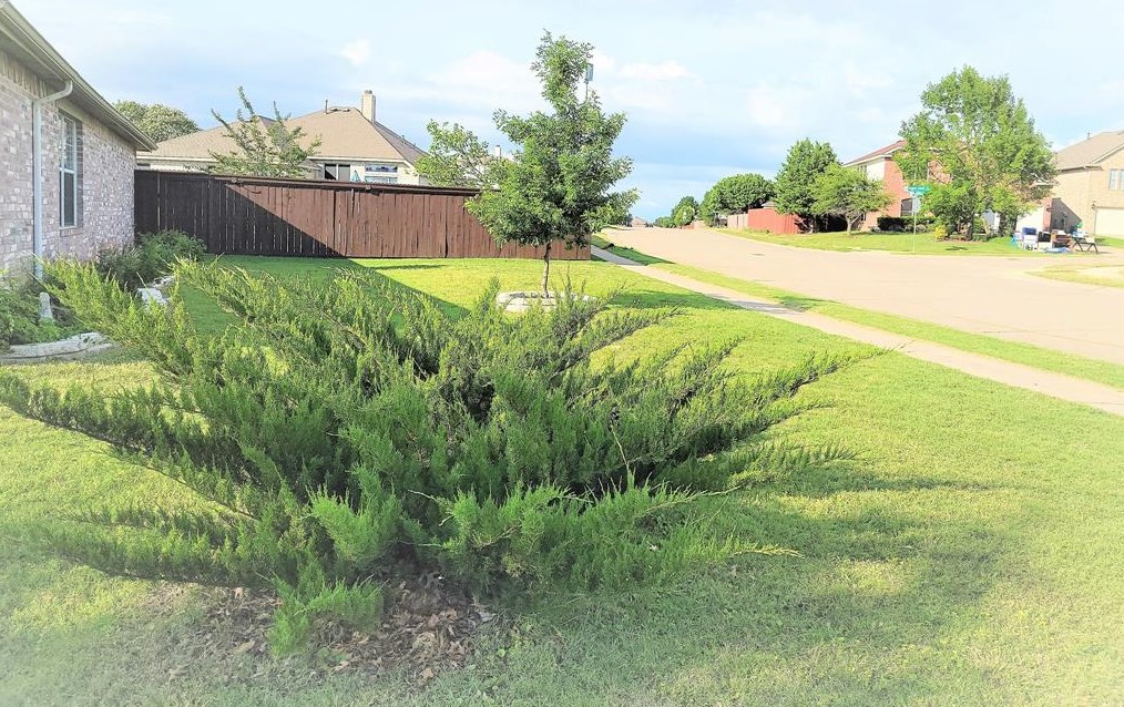 9300 Vernon Ct, Mckinney, TX 75071-6057