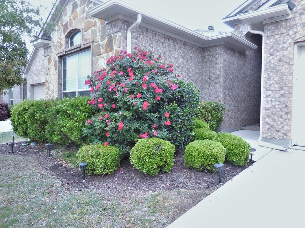 1104 Nora Ln, Denton, TX 76210