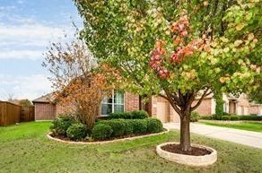 2421 Chesterwood Dr, Oak Point, TX 75068