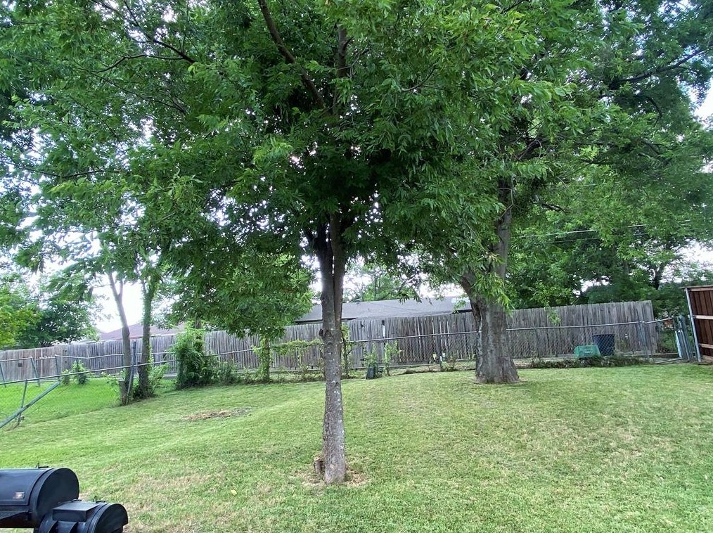 313 Sesame Dr, Mesquite TX 75149-2921 exterior