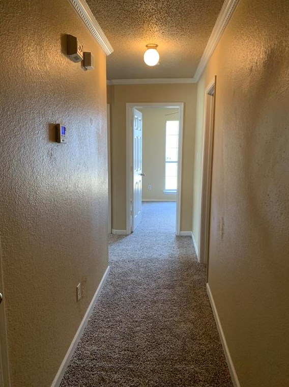 3306 Galaway Bay Dr, Grand Prairie TX  75052-7789 exterior