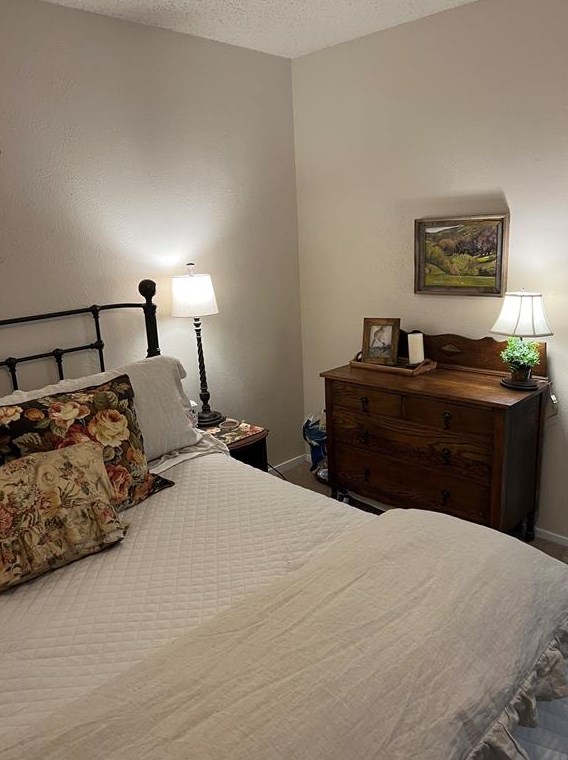 2009 Via Sonoma, Carrollton TX 75006-4635 exterior