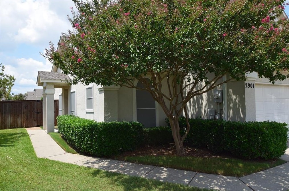 8400 Hickory St Unit 2901, Frisco, TX 75034