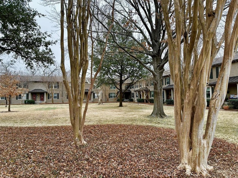 6346 Bordeaux Ave, Dallas, TX 75209