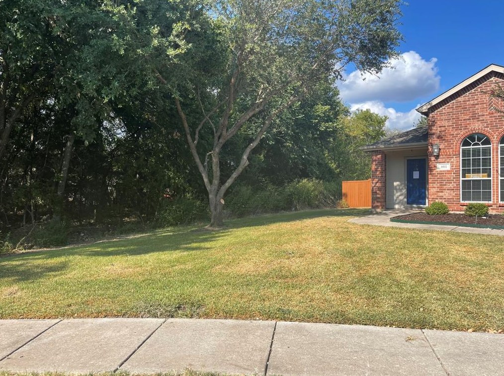 401 Kaie Teur Dr, Anna, TX 75409