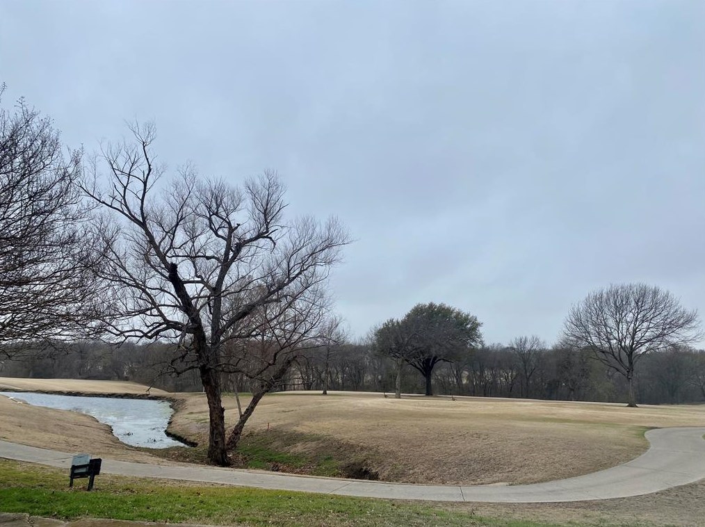 3107 Tam O Shanter Ln, Richardson, TX 75080