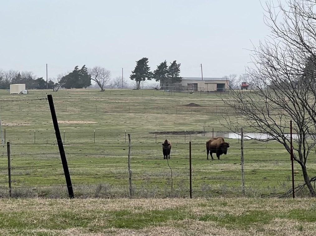 3102 Briarcliff Cir, Whitesboro, TX 76240