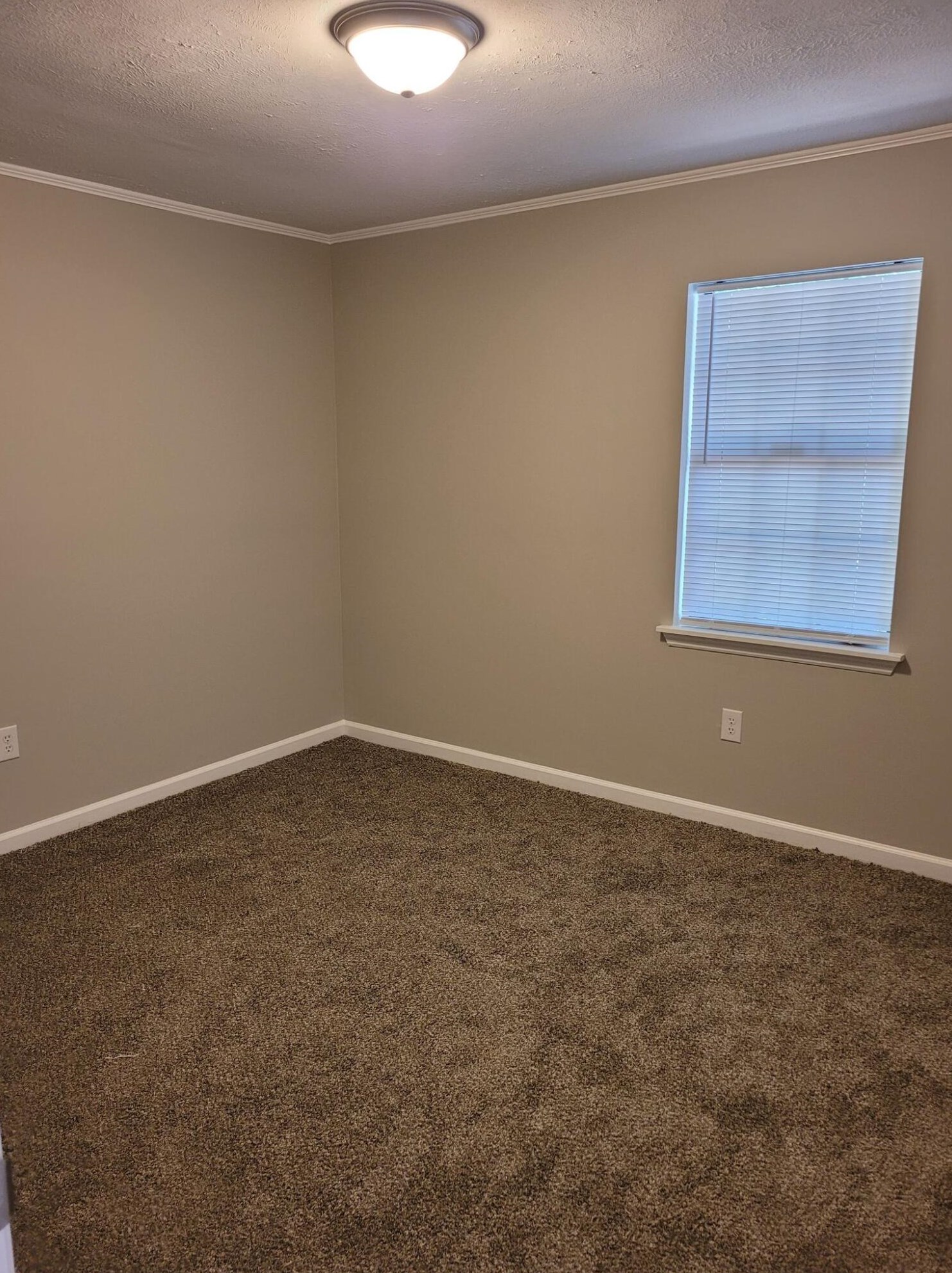 3480 Monte Carlo Dr, Augusta GA 30906-5717 exterior