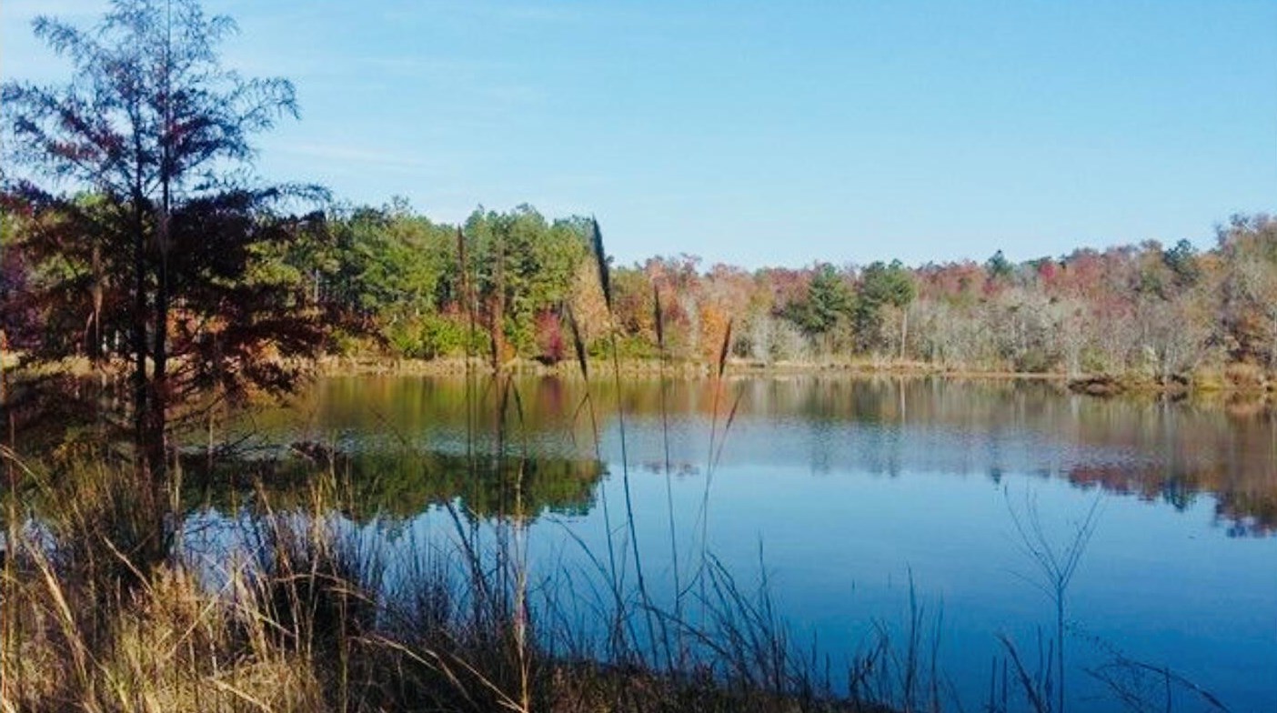 370 Buttermilk Rd, Butts, GA 30442