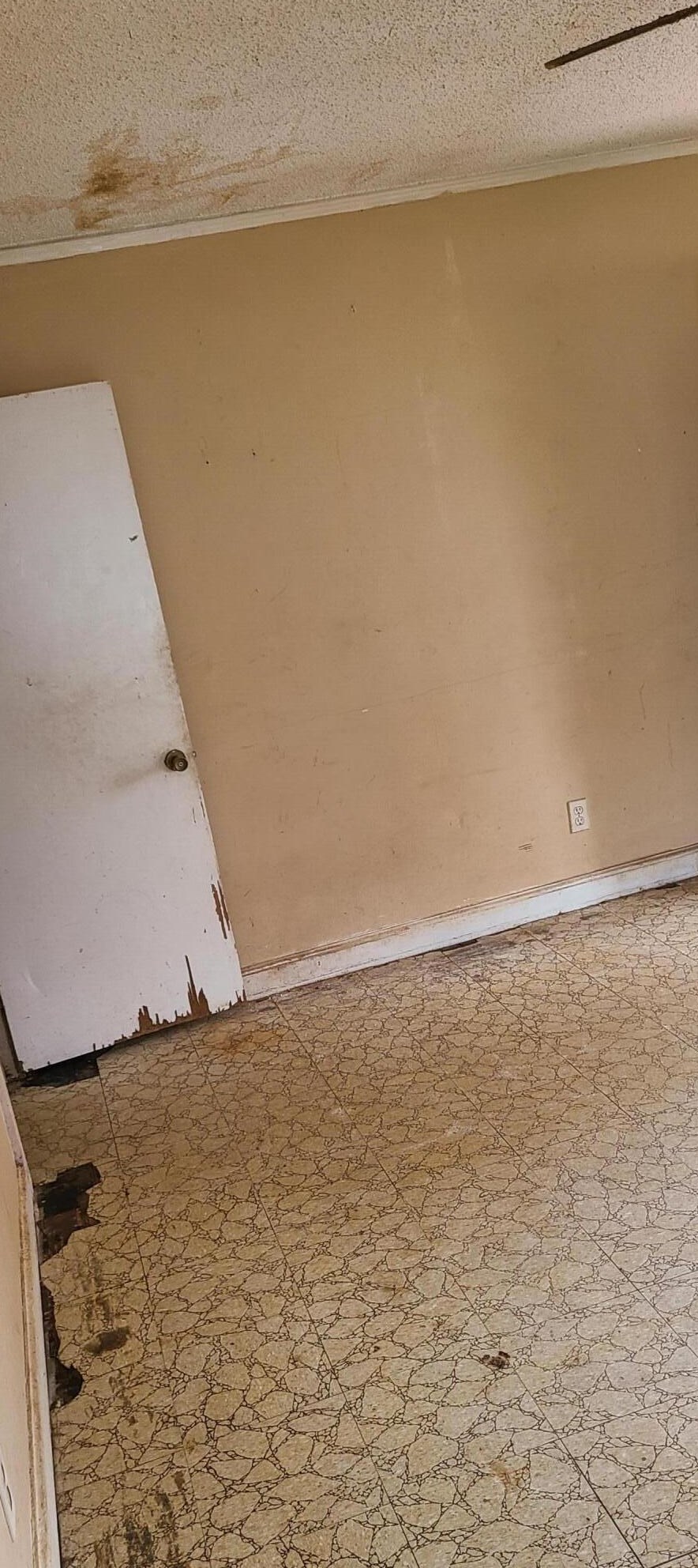 2054 Edgar St, Augusta GA  30904-3049 exterior