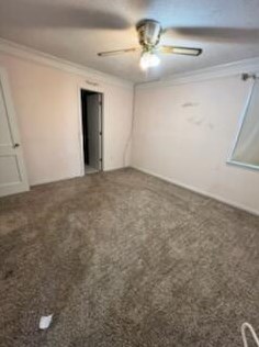 2514 Elderberry Dr, Augusta GA 30906 exterior