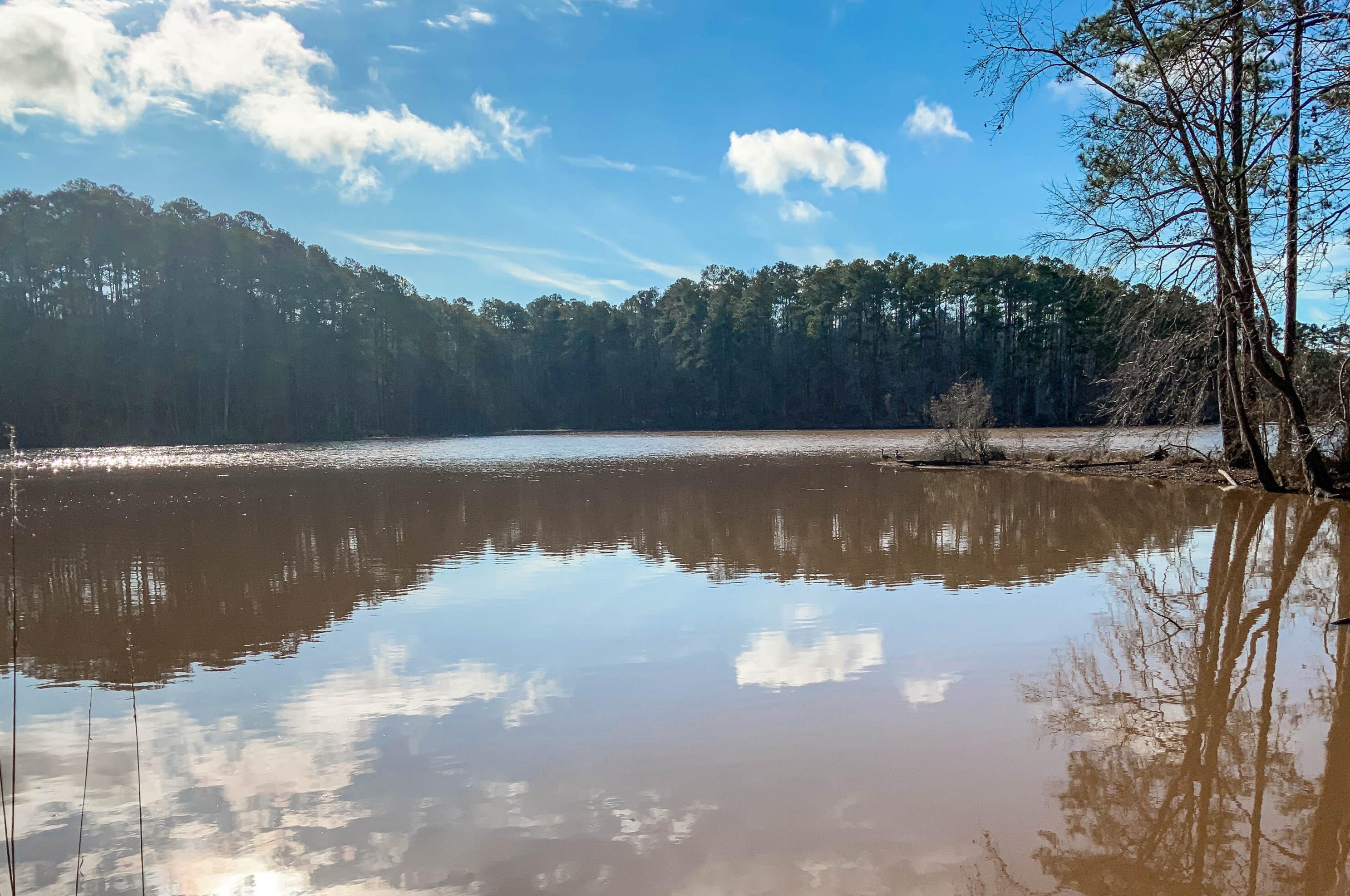 212 Gerard Cir, Mc Cormick, SC 29835