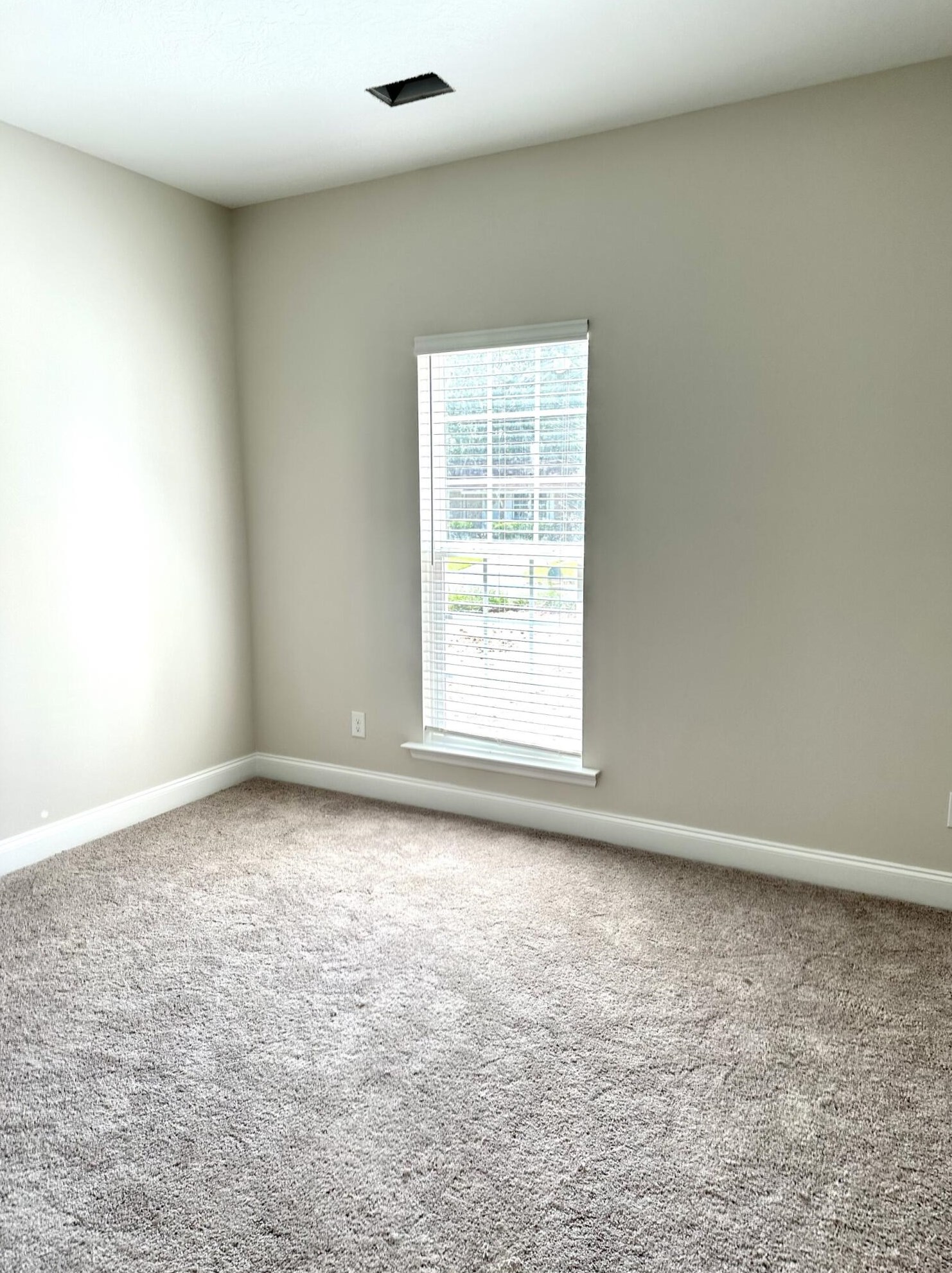 523 Laverne Ave, North Augusta, SC 29841