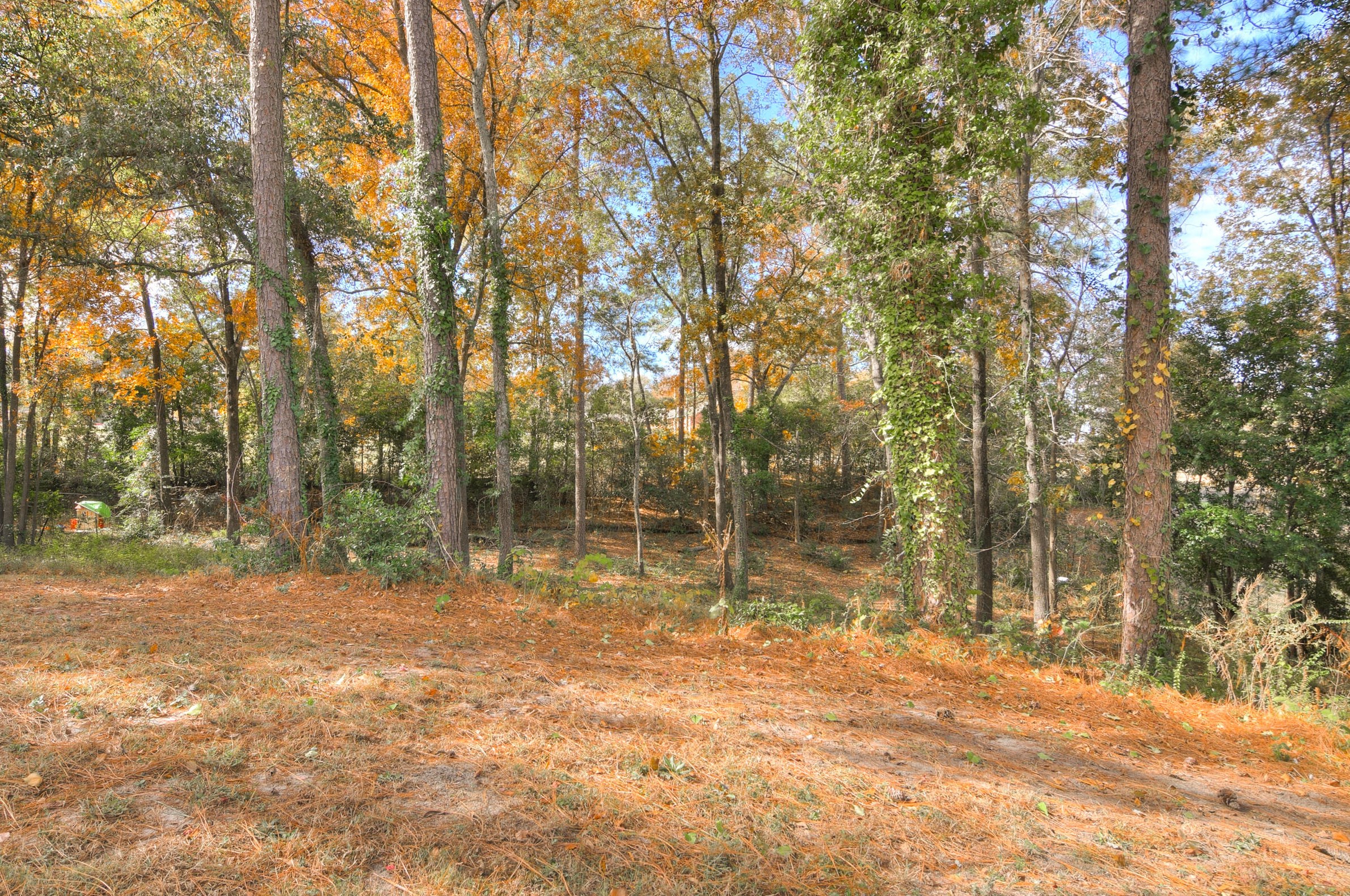 108 Hillside Ct, Augusta GA  30907-8760 exterior