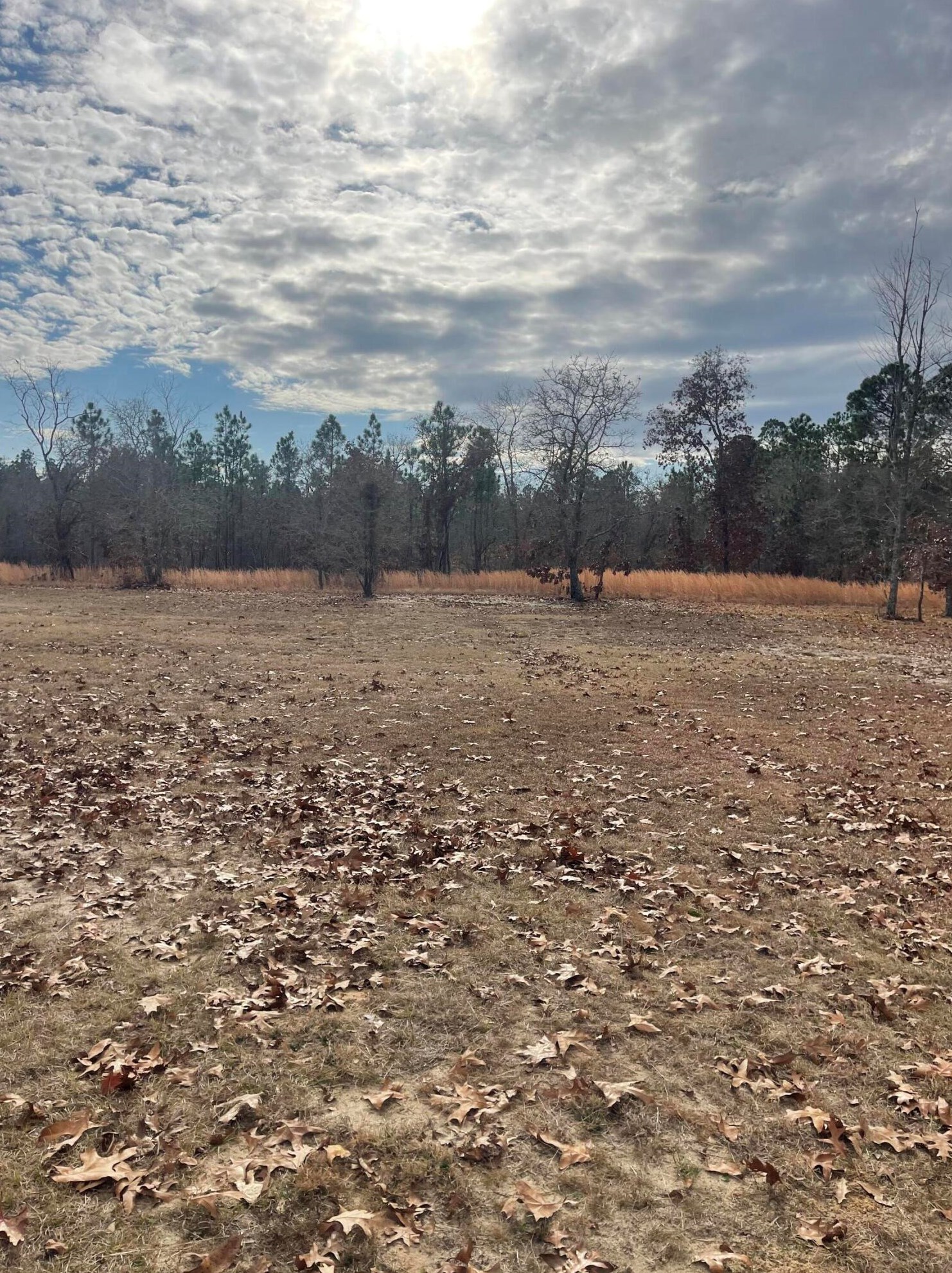 809 Big Branch Rd, New Holland, SC 29164