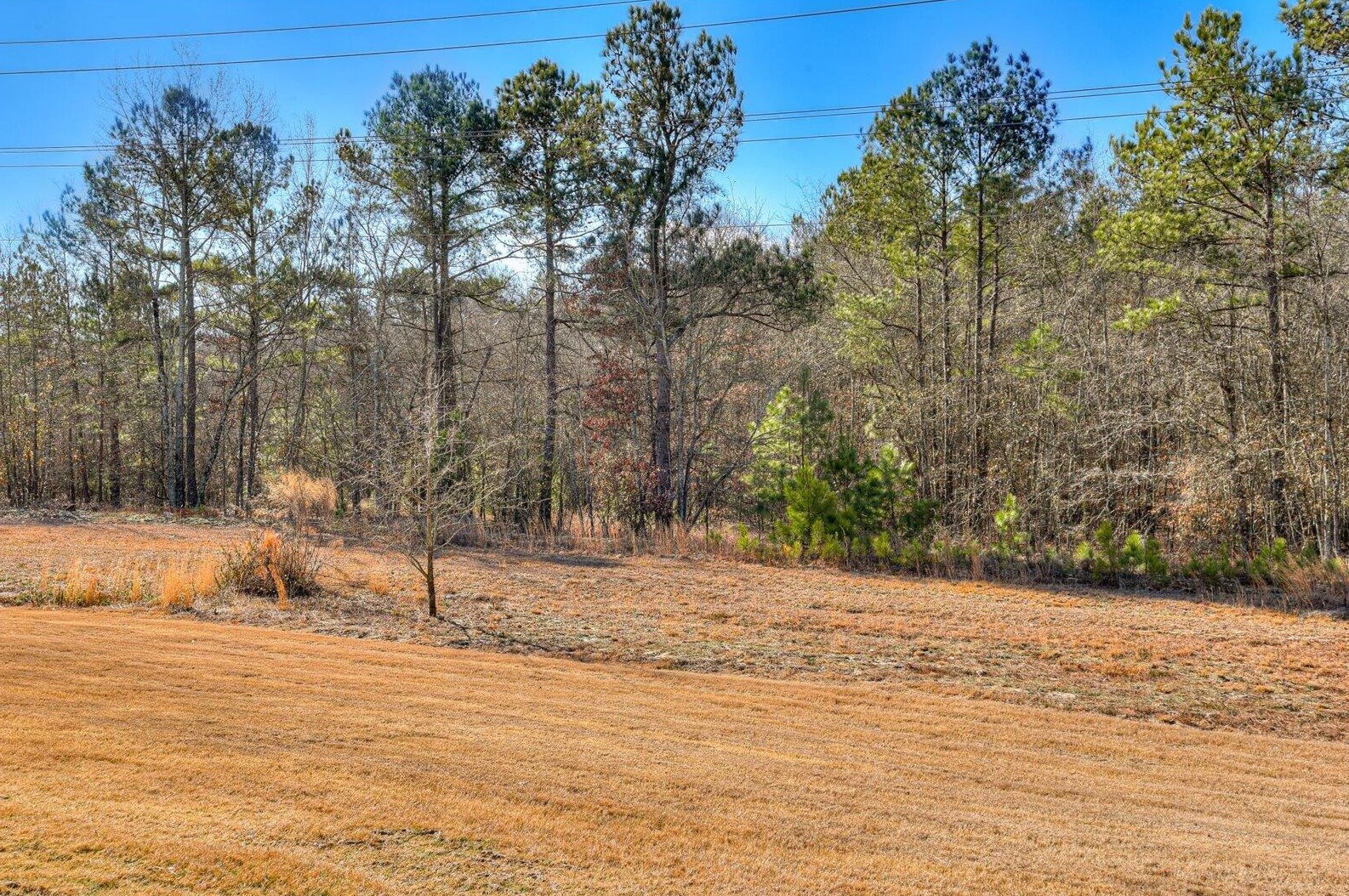 1031 Prides Xing, Aiken SC  29801-5354 exterior