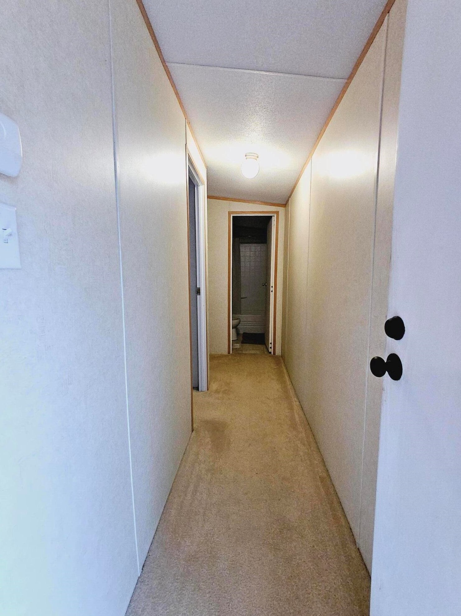 307 Riverside Dr, Shell Bluff GA  30830-2934 exterior