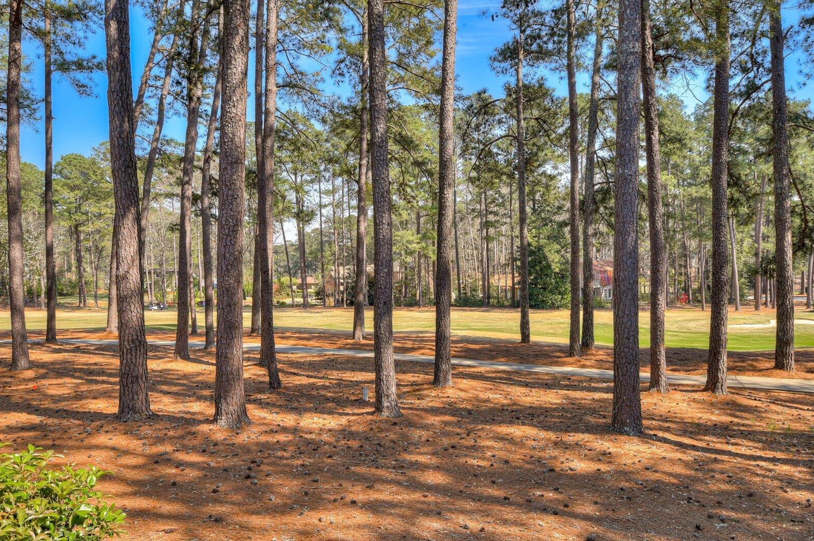 3571 Pebble Bch Dr, Augusta GA 30907-9085 exterior