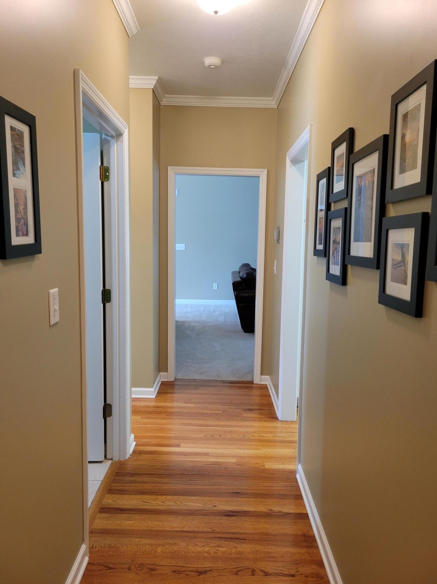 500 Northlands Ln, Evans GA  30809-6695 exterior