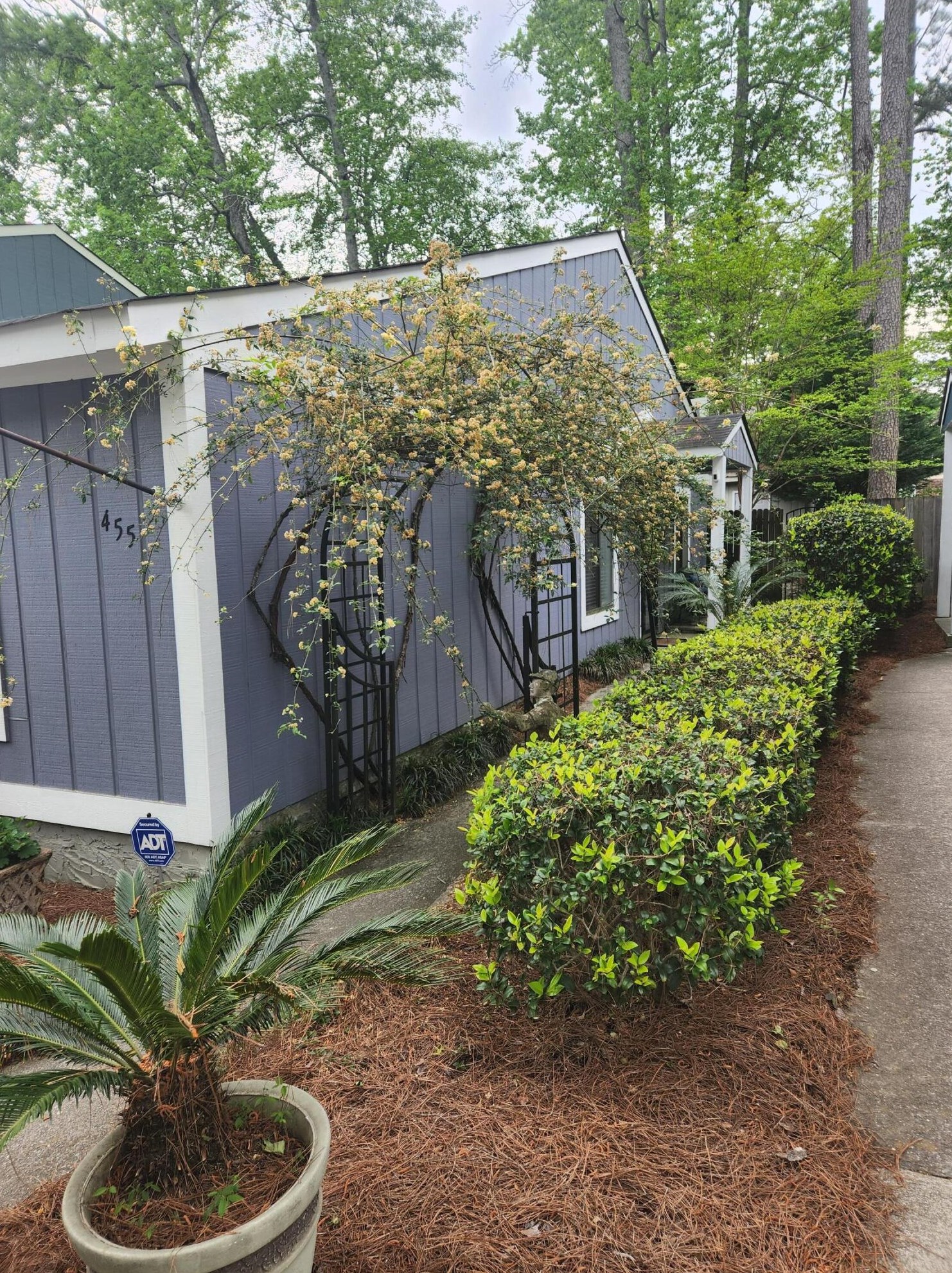 455 Forest Hills Dr, Augusta, GA 30909-2705