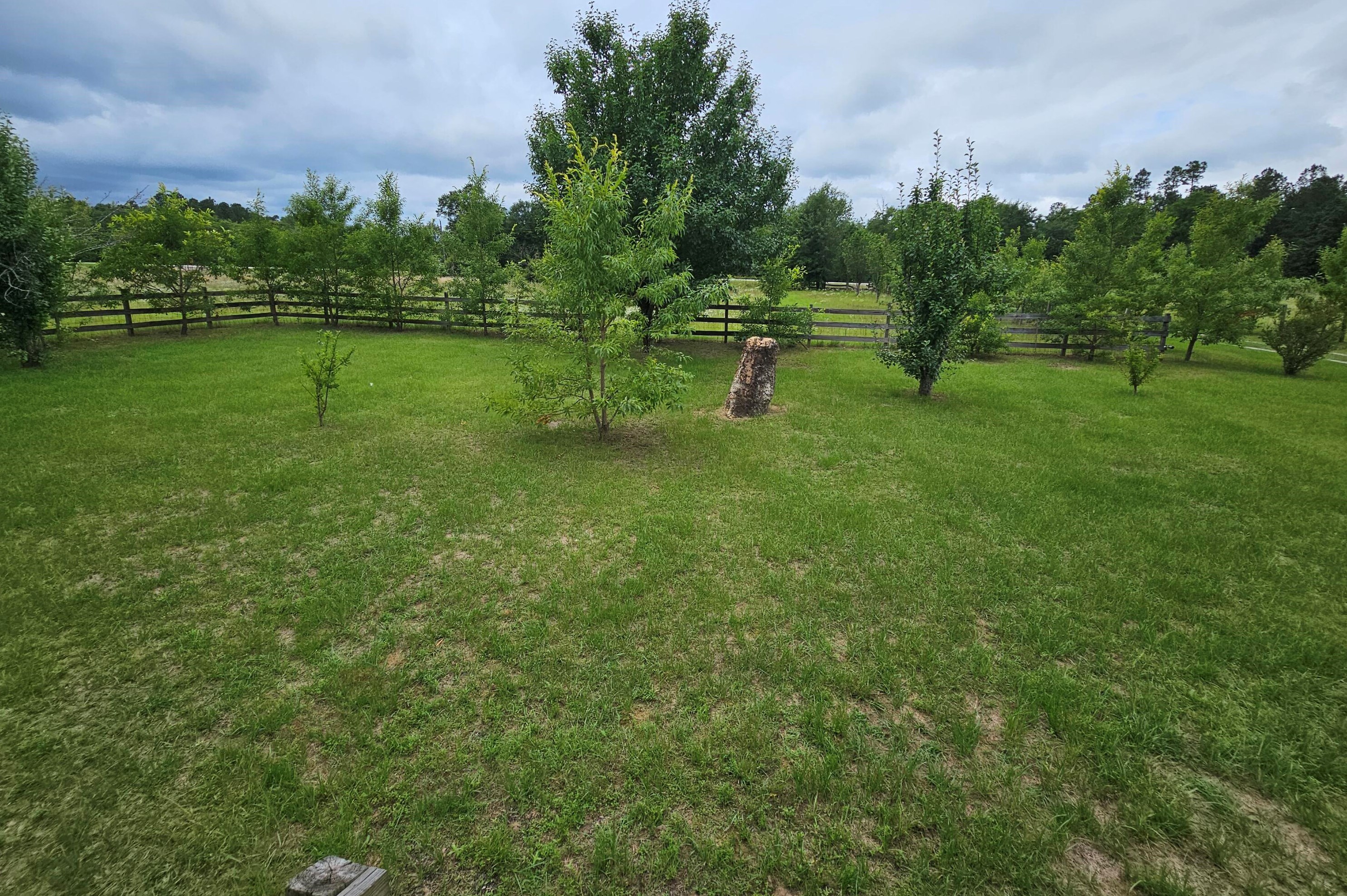 320 Jack Delaigle Rd, Shell Bluff, GA 30830