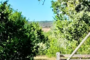 281 Oak Rd, Harper, TX 78631 - Photo 18