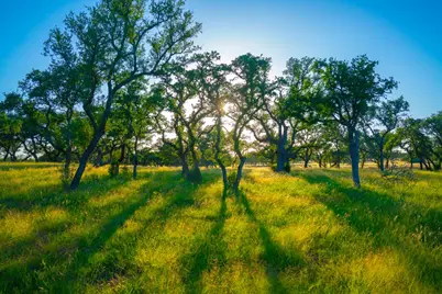 Tract 5 Wine Trail Dr, Johnson City, TX 78636 - Photo 6