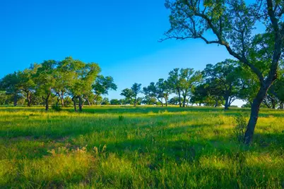 Tract 5 Wine Trail Dr, Johnson City, TX 78636 - Photo 12