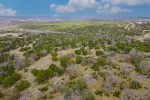 123 Birch Rd, Fredericksburg, TX 78624 - Photo 58