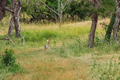 1556 Pfiester Rd, Fredericksburg, TX 78624 - Photo 60